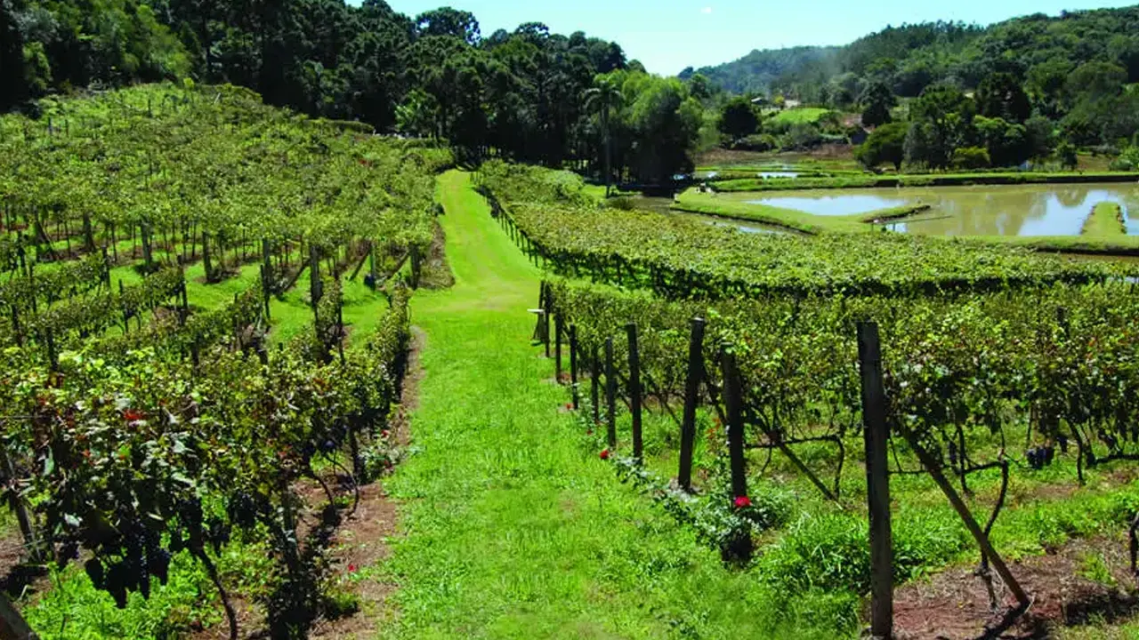 Vinícola na Serra Gaúcha